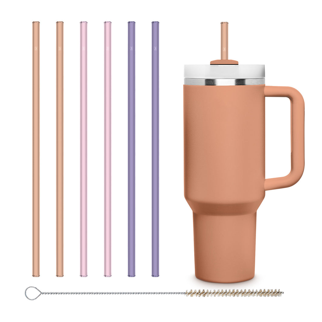 HALM Stanley Cup Pastell replacement Glass Straws 12 inch for 40 oz Quencher