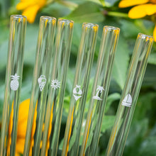 Load image into Gallery viewer, Summer Glass Straws 8 inch Engraved with beach designs - Set of 6