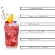 Load image into Gallery viewer, Cat Lover Glass Straws 8 inch Engraved with funny cat quotes - Set of 6

