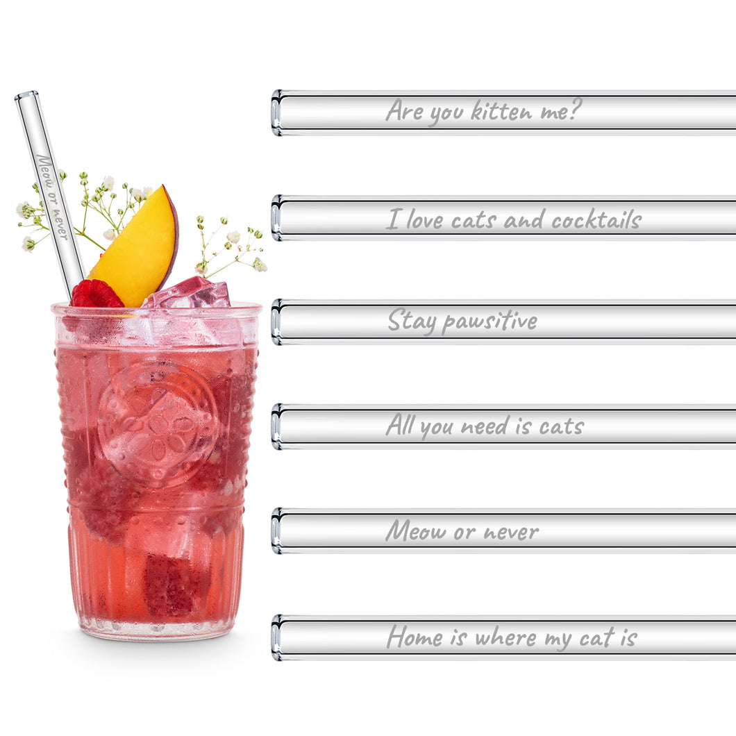 Cat Lover Glass Straws 8 inch Engraved with funny cat quotes - Set of 6