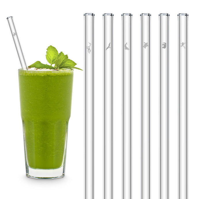 HALM Glass Straws - 6 Reusable 4 Inch Short Drinking Straws + Plastic-Free  Cleaning Brush Perfect for B52 and Shot Glasses or Blowing Tubes 